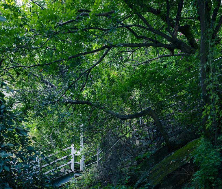 The Thrill of Adventure: Embracing the Outdoors and Travel