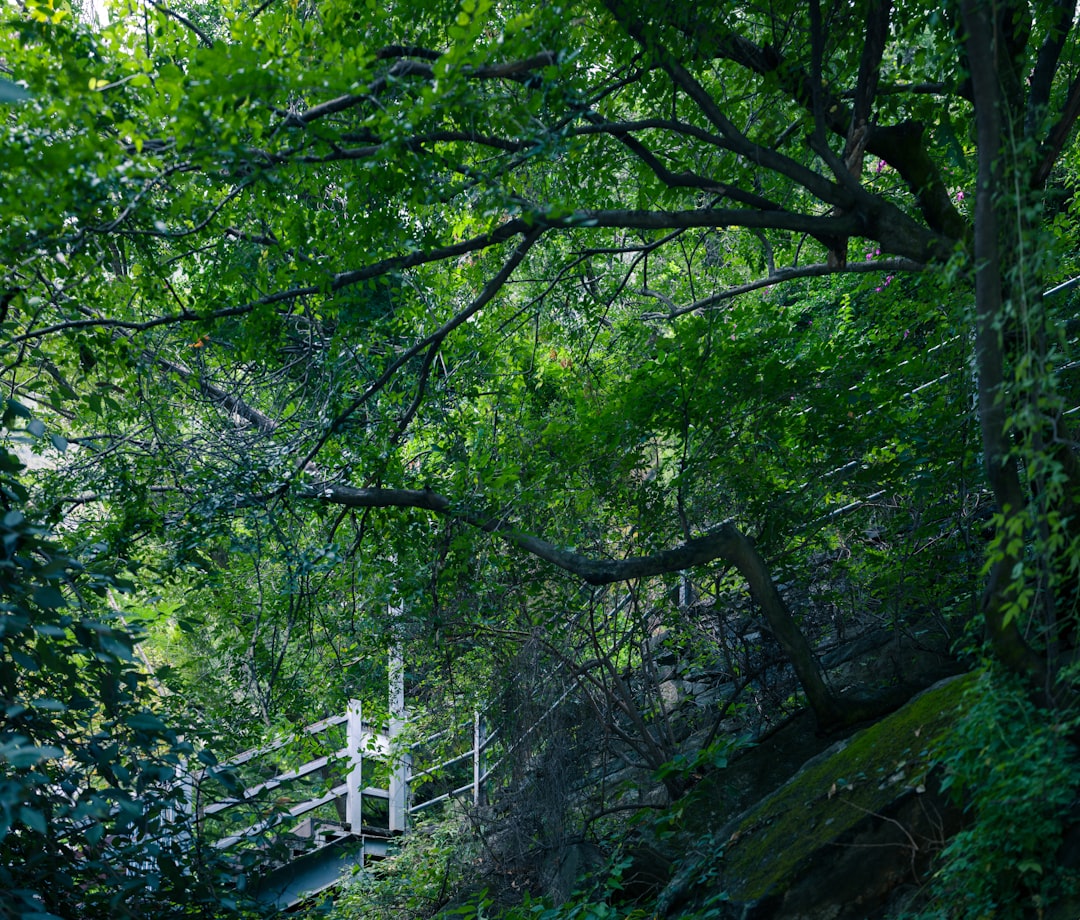 The Thrill of Adventure: Embracing the Outdoors and Travel